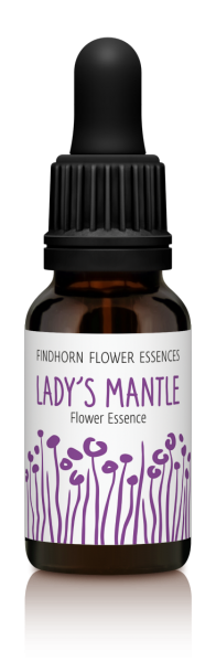 Lady´s Mantle 15ml