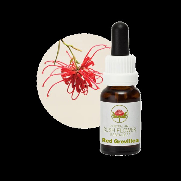 Red Grevilla 15ml