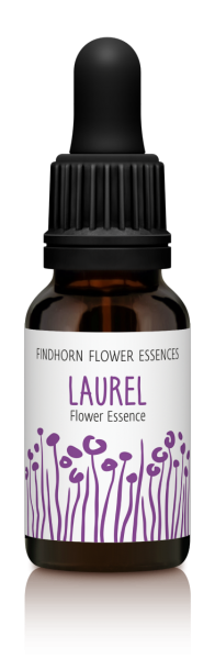 Laurel 15ml