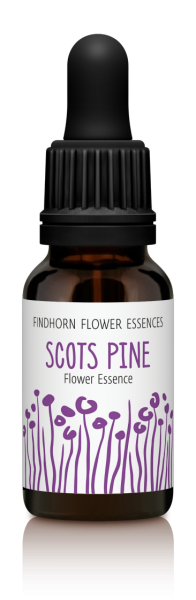 Scots Pine 15ml