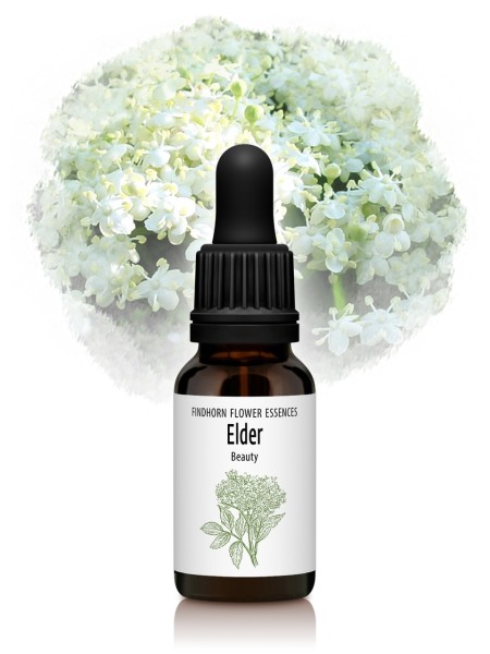 Elder 15 ml